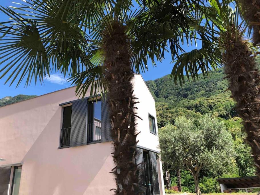 Sinergia E Benessere SantʼAntonio Kültér fotó